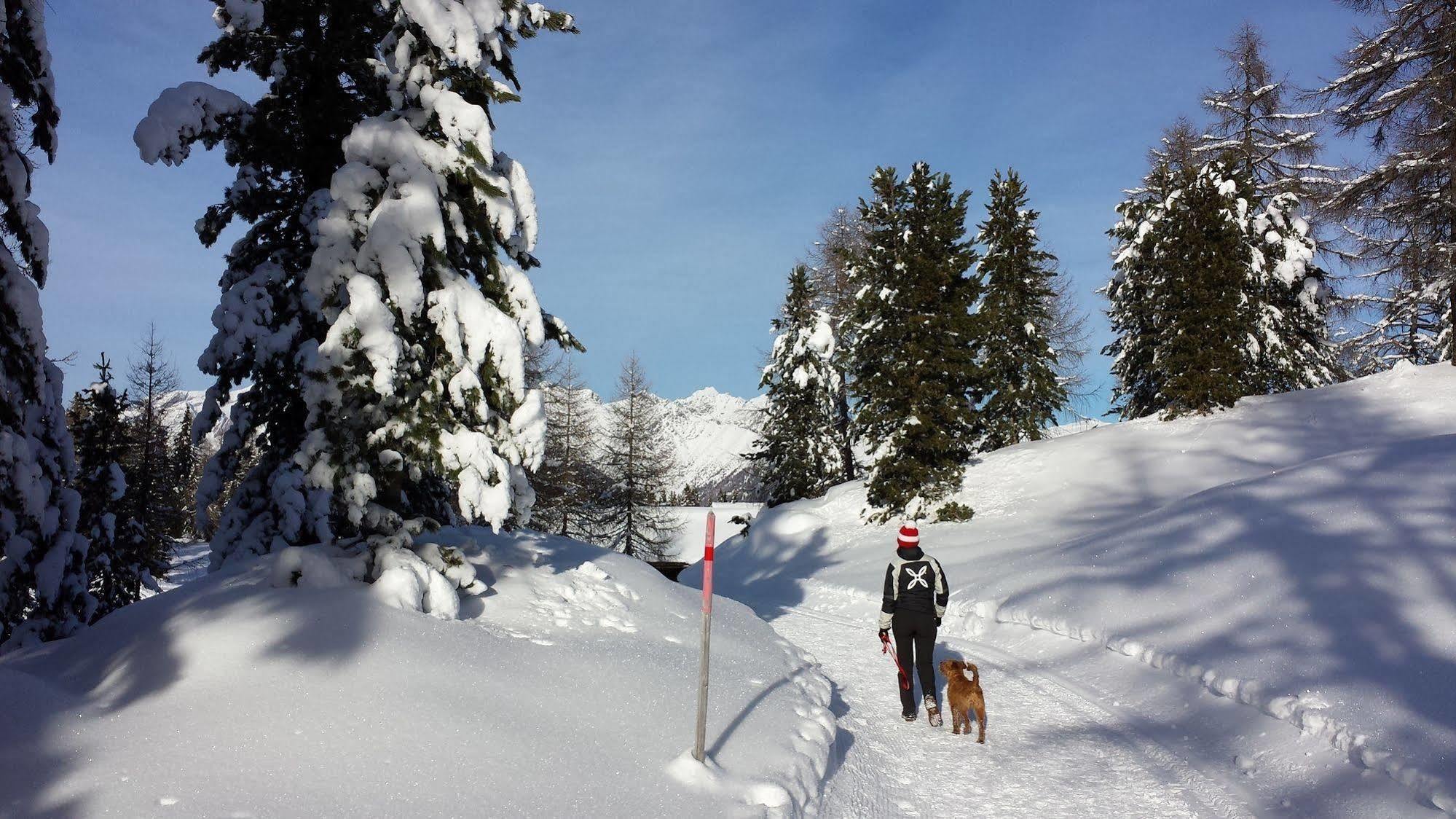 Bed & Breakfast Abis - Dolomites Rio di Pusteria المظهر الخارجي الصورة