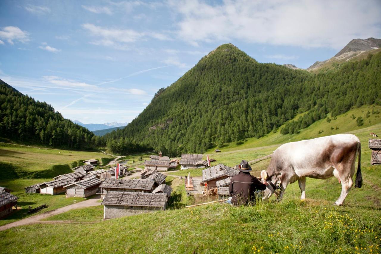 Bed & Breakfast Abis - Dolomites Rio di Pusteria المظهر الخارجي الصورة